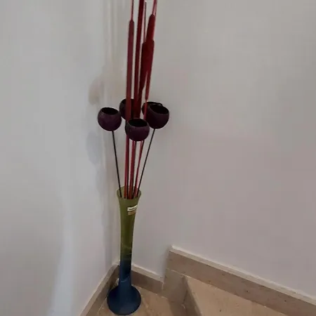 Apartamento Teo Cres